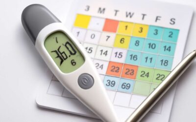 Stay on Top of Your Health with the Ultimate Thermometer Tracker for Accurate Temperature Monitoring