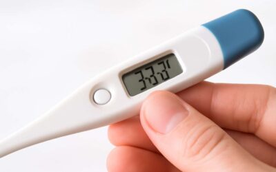 Discover the Top 10 Essential Thermometer Uses You Need to Know Today