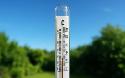 Learn how to say it right: thermometer in afrikaans, tips for perfect pronunciation.