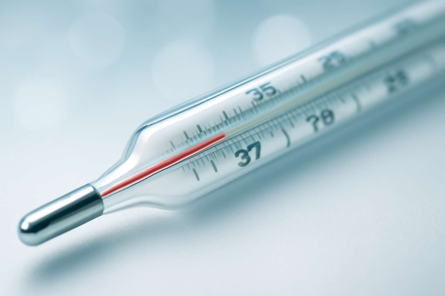 thermometer or temperature