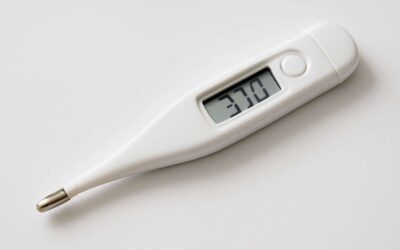 Tiny but mighty: thermometer 5mm for precise micro-scale temperature checks.