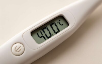 Beat the Heat with thermometer 40c: The Quick Guide to Accurate Readings