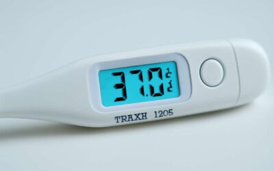 Master the thermometer traxit 100’s for perfect temps every time.