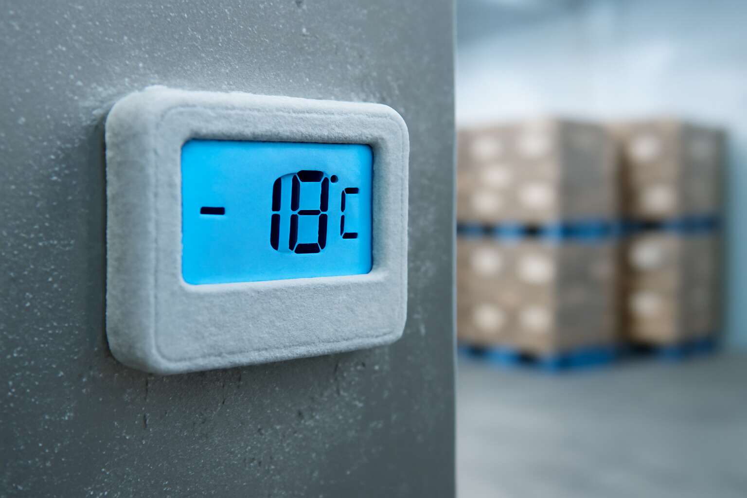 generated_image_6a5b5c62ec26b.jpg cold room thermometer