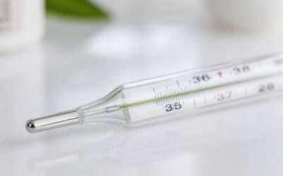 Thermometer Name Ideas That Boost SEO Rankings
