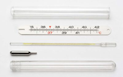 Thermometer Parts: A Guide to Every Component.